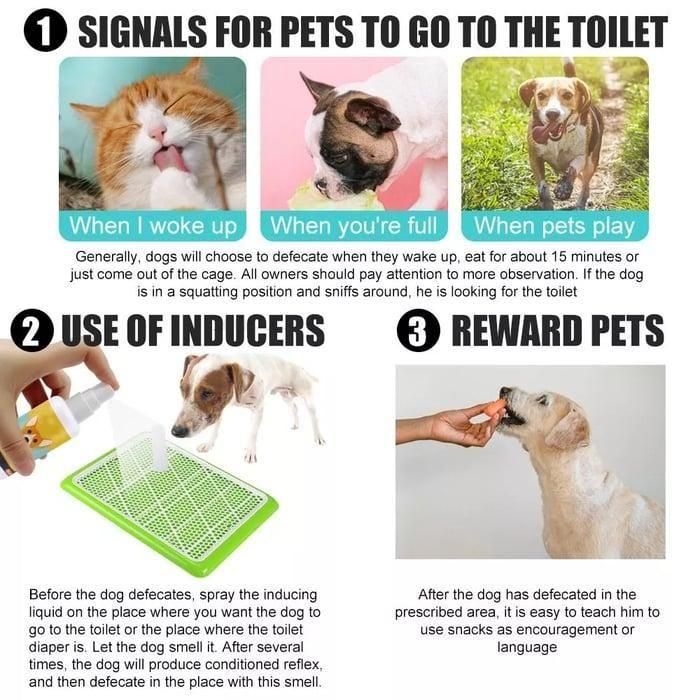 Natural Potty Training Spray for Dog & Cat (Buy 1 Get 1 Free)