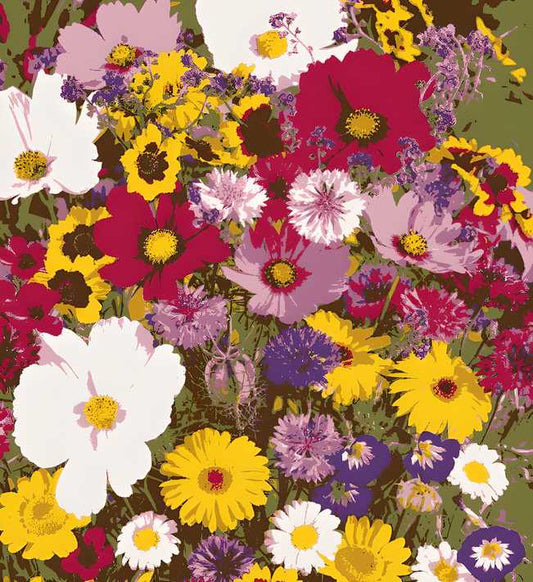 Varieties of Flower Seeds - Plant Supplement Free